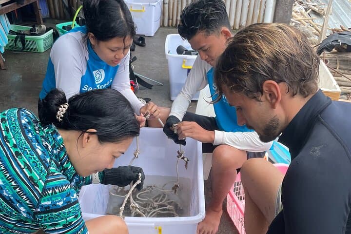 Nusa Penida Reef Rehabilitation Course & Snorkeling — Coral Planting Experience photo 4