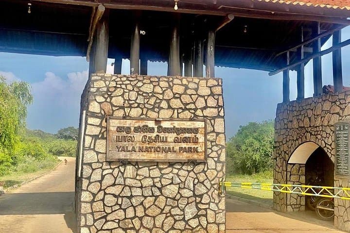 Full-Day Private Yala Safari with Lunch — Leopard-Spotting in Yala National Park photo 3