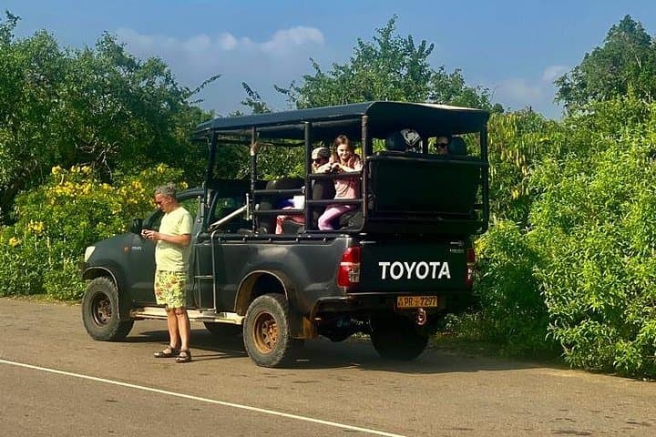 Full-Day Private Yala Safari with Lunch — Leopard-Spotting in Yala National Park photo 4