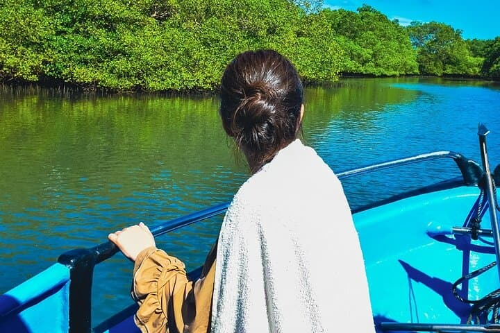 Bali Tropical Snorkeling and Mangrove Cruise — Snorkel Serangan Reefs & Turtle Island photo 6