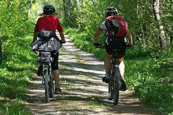 Cycling the Cultural Corridor: Dambulla & Sigiriya Day Tour from Trincomalee photo 6