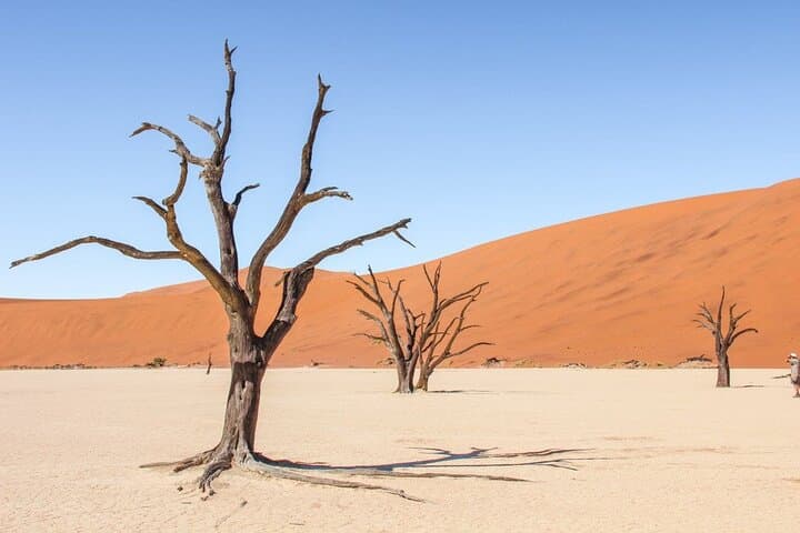 3-Day Sossusvlei Guided Private Tour: Dune 45, Deadvlei & Sesriem Canyon photo 4