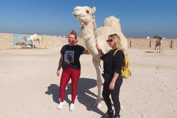 Coastal Horseback Ride in Hurghada — 2-Hour Beach & Desert Trail photo 3