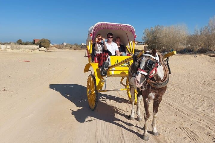 Coastal Horseback Ride in Hurghada — 2-Hour Beach & Desert Trail photo 4