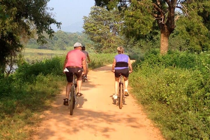 Cycle the Cultural Corridor: Dambulla & Sigiriya Cycling Tour from Kandy photo 5
