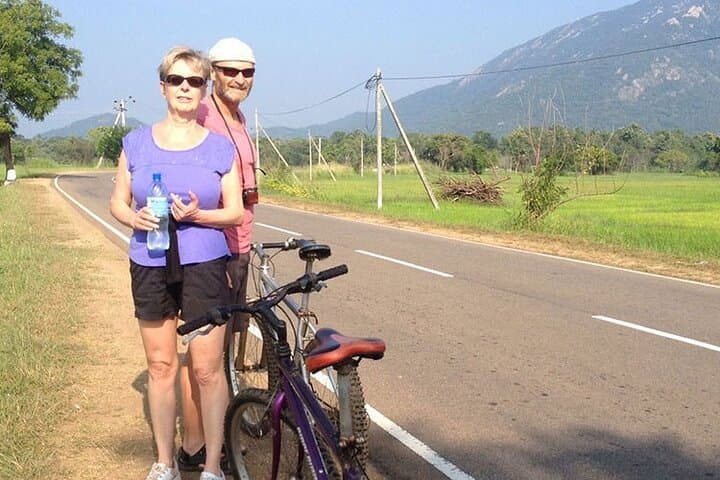Cycle the Cultural Corridor: Dambulla & Sigiriya Day Tour from Negombo