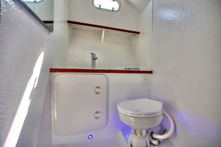 Santorini Private Cruise: Swim, Snorkel & BBQ from Ammoudi Bay photo 5