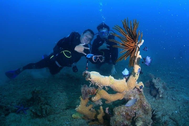 Scuba Diving in Nha Trang Bay — Coral Reefs, PADI Guides & BBQ Lunch photo 1