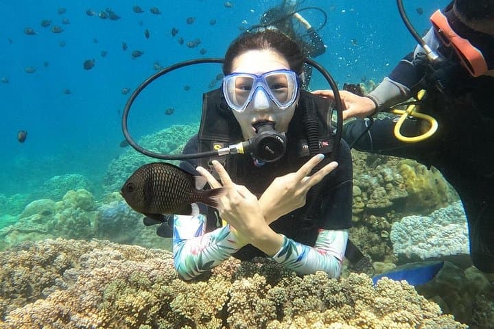 Scuba Diving in Nha Trang Bay — Coral Reefs, PADI Guides & BBQ Lunch photo 2
