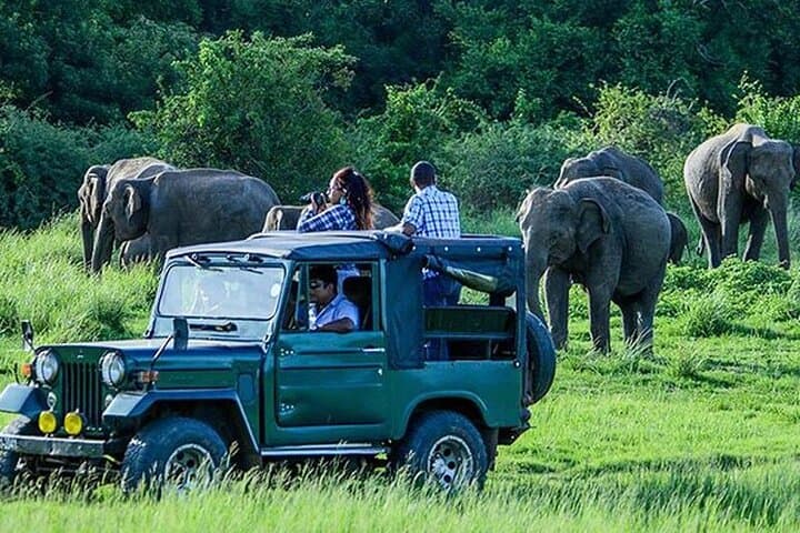 Maduru Oya Safari & Indigenous Village Day Trip from Ella — Elephant Encounters and Vedda Culture photo 3