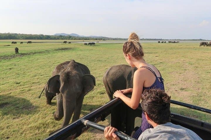 Maduru Oya Safari & Indigenous Village Day Trip from Ella — Elephant Encounters and Vedda Culture photo 5