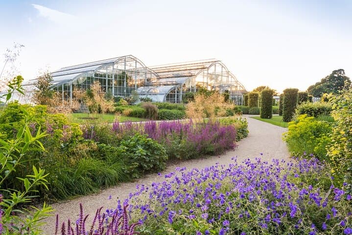 Explore RHS Garden Wisley: A Day at Britain’s Leading Horticultural Laboratory