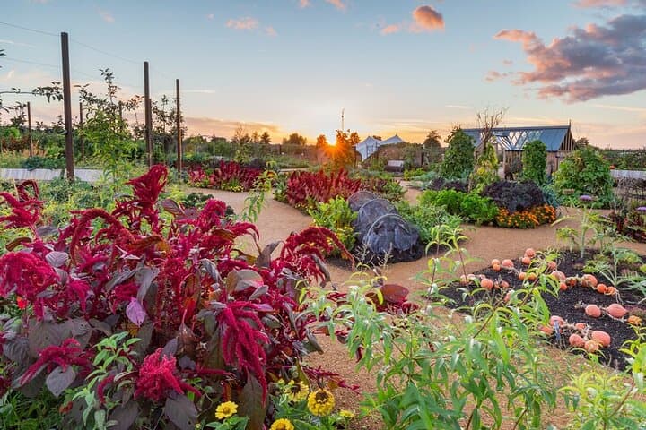 Explore RHS Garden Wisley: A Day at Britain’s Leading Horticultural Laboratory photo 2