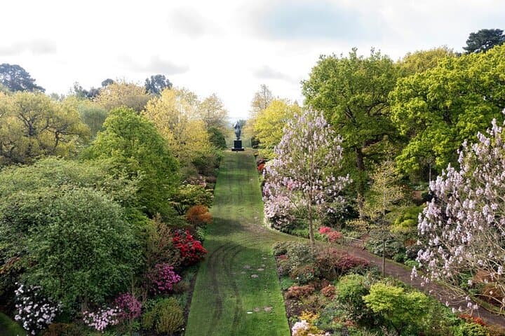 Explore RHS Garden Wisley: A Day at Britain’s Leading Horticultural Laboratory photo 6