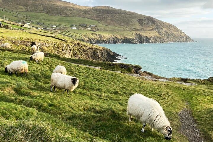 Slea Head Photo & Sightseeing Tour — Dingle Peninsula Coastal Drive and Photo Workshop photo 2