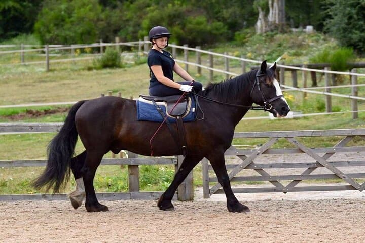 Kemer Horse Riding Experience: Coastal Trails & Village Rides with Transfer
