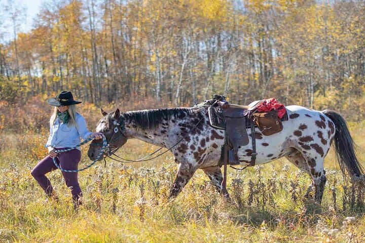 Kemer Horse Riding Experience: Coastal Trails & Village Rides with Transfer photo 6