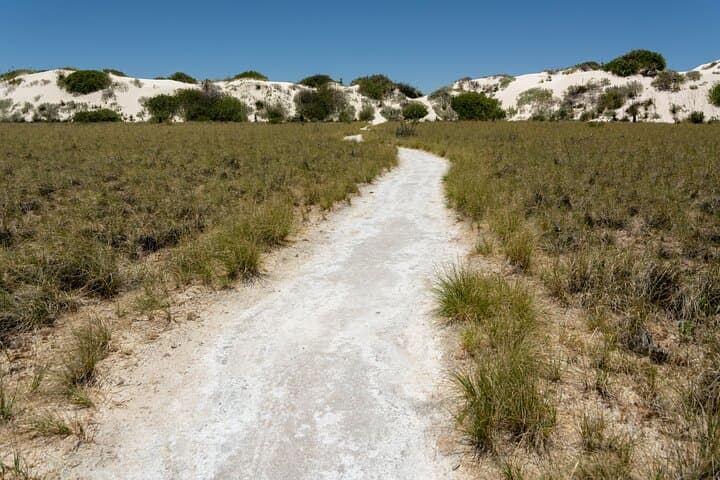Self-Guided White Sands Driving Tour and Alkali Flat Hike photo 6