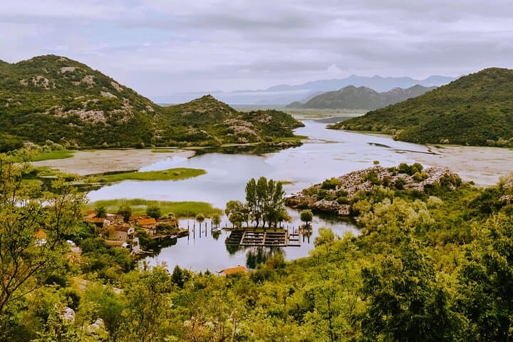 Skadar Lake Boat Tour from Virpazar — Karuč, Lesendro & Birdlife photo 3