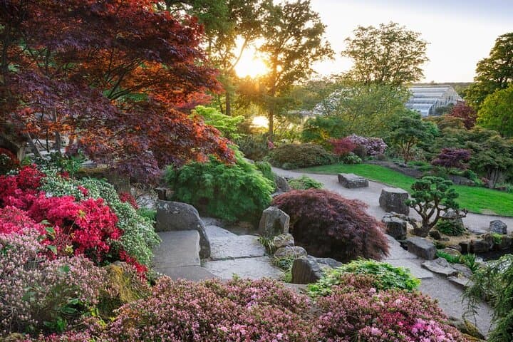 RHS Garden Wisley: Tea in the Garden & RHS Hilltop Experience