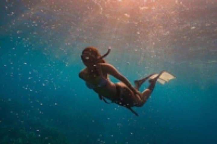 Blue Lagoon Snorkeling and Ubud Waterfalls: A Full-Day Bali Coastal & Waterfall Adventure photo 3