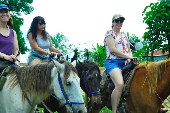 Unveil the Real Dominican: An Outdoor Adventure Safari from Punta Cana photo 6