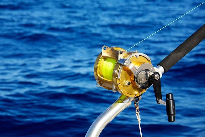 Cozumel Deep-Sea Fishing Charter & Beach Break — Half-Day Sportfishing photo 4