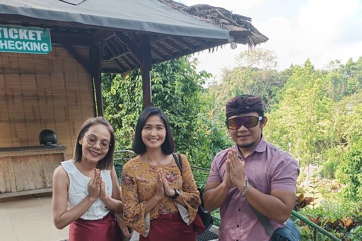 Custom Ubud Highlights Tour: Tegalalang, Tirta Empul & Monkey Forest Private Day Trip