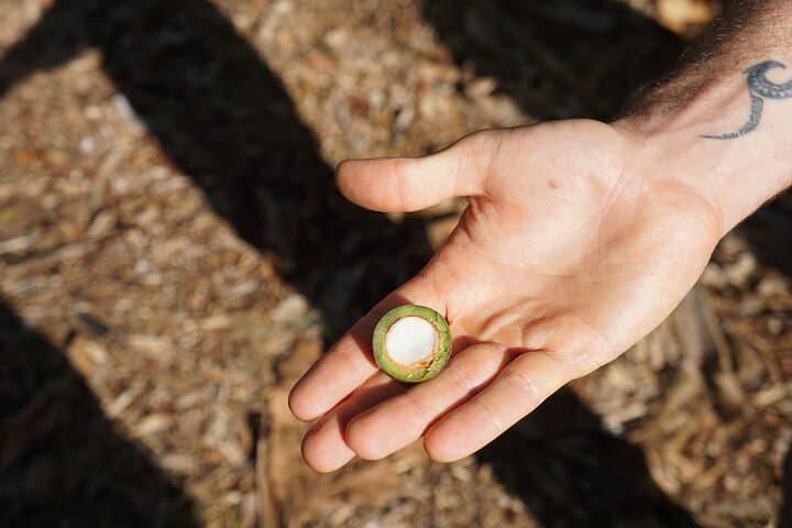 Private Maui Nui Botanical Garden Tour: Native Plants, Olowalu Petroglyphs & River Visit photo 3