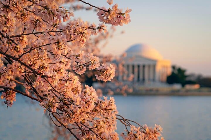 Washington D.C. Day Trip from NYC — National Mall, Monuments & Air Force Memorial photo 5