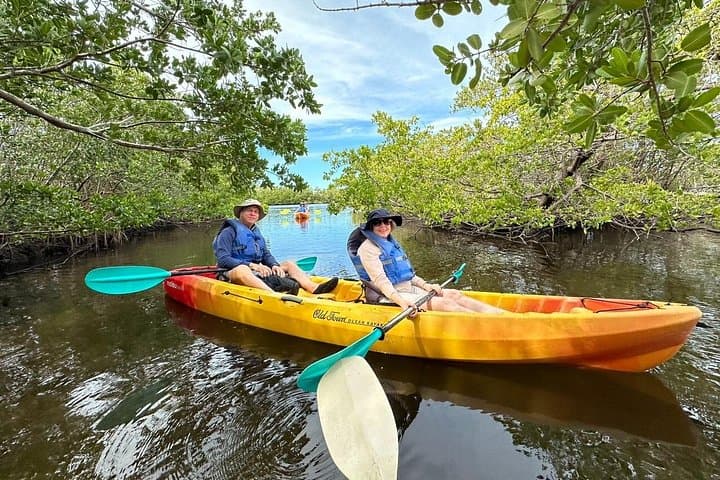Robinson Preserve Mangrove Kayak Tour — Bradenton Paddle & Wildlife Viewing photo 3