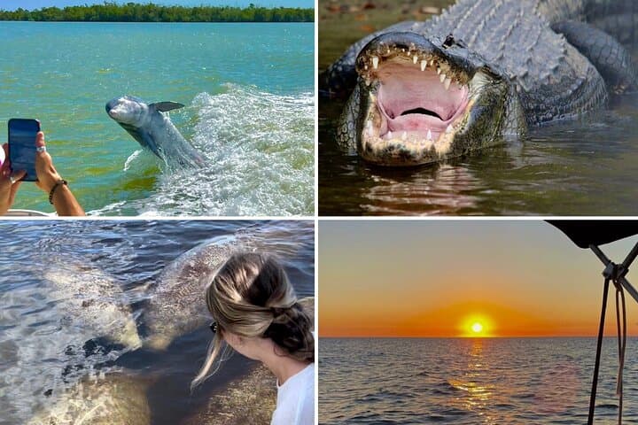 Sunset Cruise to the 10,000 Islands: Manatee, Dolphin & Everglades Wildlife Tour