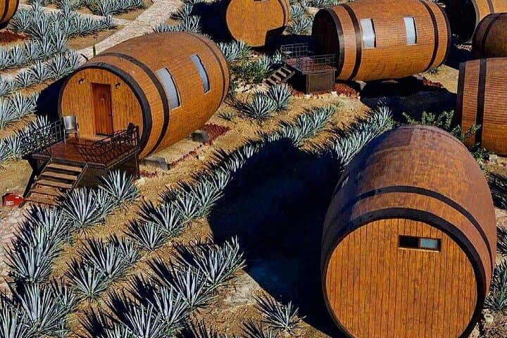 Sleep in a Tequila Barrel Room: Matices Hotel de Barricas Experience in Tequila, Jalisco photo 2