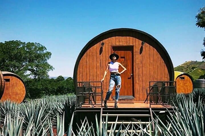 Sleep in a Tequila Barrel Room: Matices Hotel de Barricas Experience in Tequila, Jalisco photo 3
