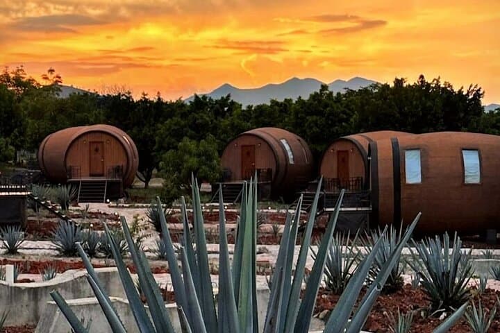 Sleep in a Tequila Barrel Room: Matices Hotel de Barricas Experience in Tequila, Jalisco photo 4
