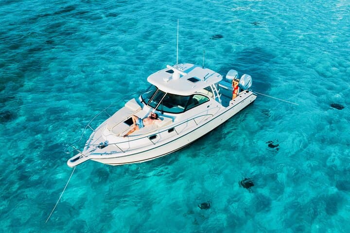 Private Cayman Charters: Stingray City, Coral Gardens Snorkel & Starfish Point photo 4