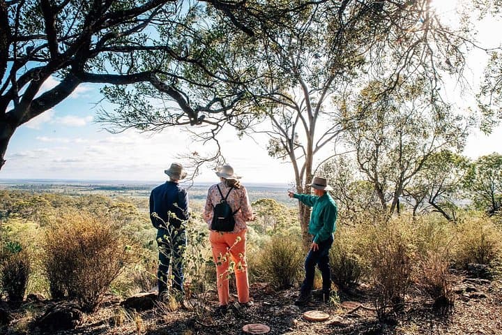 Roma Landscape & Legacy Day Tour — Mount Abundance, Sale Yards and Wildlife