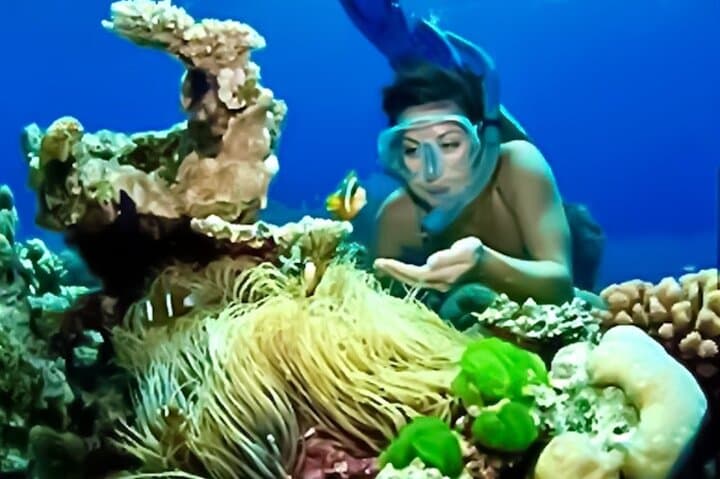 Family Snorkeling & Lunch from Montego Bay — Reef Adventure for All Ages photo 5
