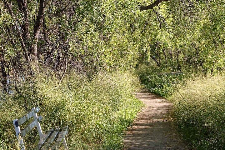 Roma Birdwatching Walk: Guided 1-Hour Nature Trail at Roma Bush Gardens photo 6