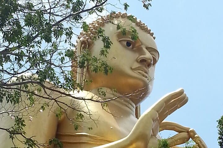 Sigiriya Expedition: Climb the Lion Rock and Explore Dambulla Cave Temple photo 4