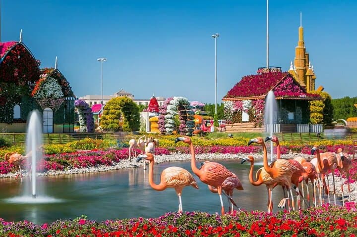 Inside Dubai's Miracle Garden: Private-Transfer Access to the 50-Million Flower Display