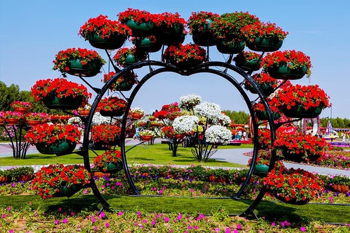 Inside Dubai's Miracle Garden: Private-Transfer Access to the 50-Million Flower Display photo 3