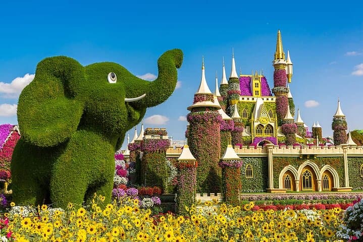 Dubai Frame and Miracle Garden Combo Tickets: Panoramic Views & Floral Spectacle