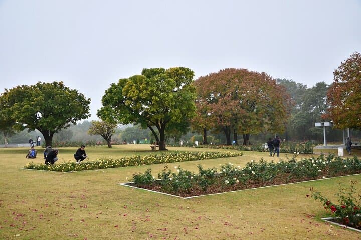 Chandigarh Nature Walk: Sukhna Lake, Rock Garden & Nagar Van in 2 Hours photo 4