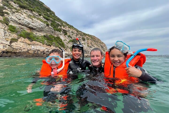 Swim with Cape Fur Seals at Robberg Nature Reserve, Plettenberg Bay photo 6