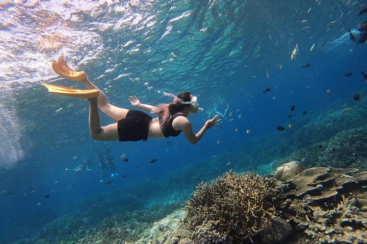 Snorkel Nusa Lembongan & Penida: Manta Bay Day Trip from Sanur photo 2