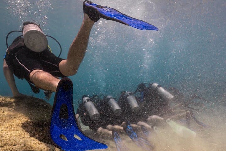 Scuba Diving at Turtle Bay, Protaras: Intro Dives with Underwater Photos photo 6