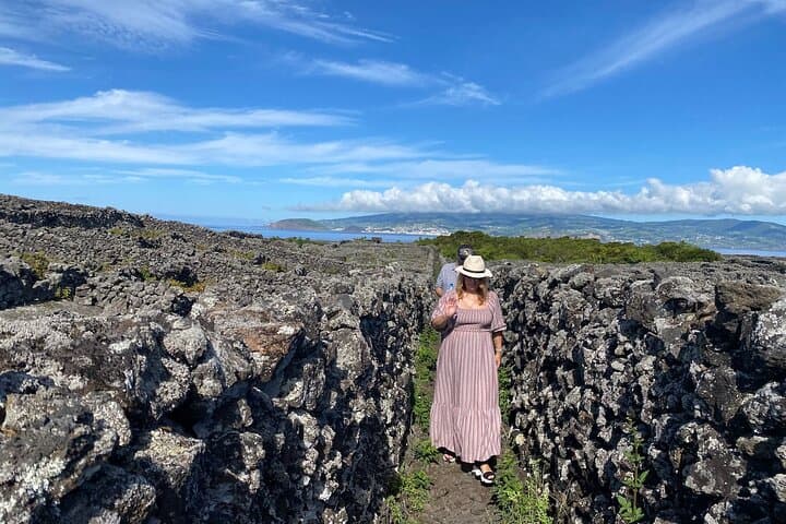 Pico Girl Power: Volcano Wine Tasting & Natural Pools in the Azores photo 4