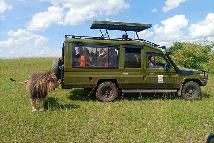 3-Day Masai Mara Safari from Nairobi: Big Five, Wildebeest Migration & Maasai Culture photo 3