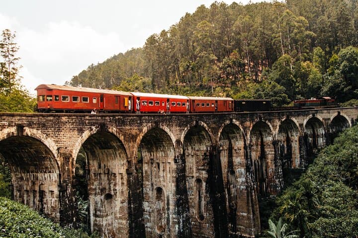 Ella Day Tour from Kandy — Scenic Train, Nine Arches & Little Adam's Peak